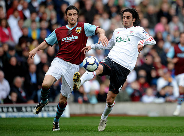 多年来他们 多年来他们